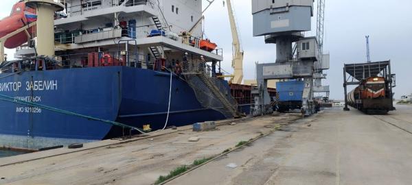اتحاد المصدرين يعلن بدء توزيع البذار المجانية للموسم الشتوي على المزارعين.. السواح:تغطي 15 مليون م3 على مستوى القطر