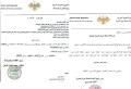 استيراد الفروج .. من يقرر وكيف ؟!